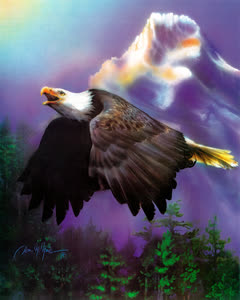 Bald Eagle Flying