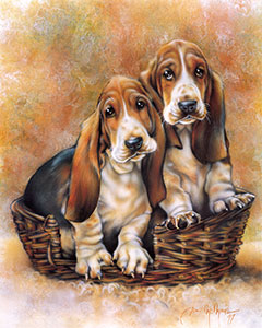 Basset Hounds