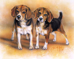 Beagles