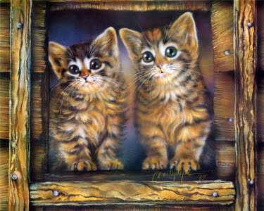 Kittens In Window
